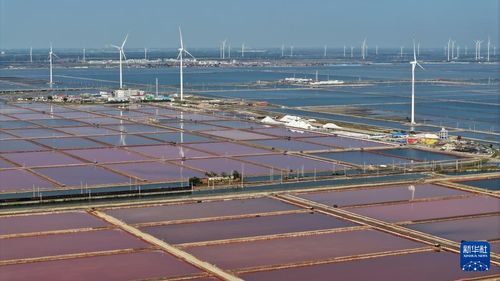 國(guó)道之行 海闊天空 從一滴海水到百味之王的海鹽收獲記與海外倉(cāng)新篇