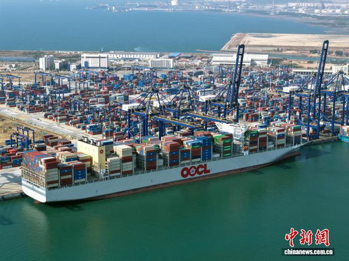 海南封關看變化 洋浦港打通一袋貓砂出海堵點，海空自貿海外倉崛起