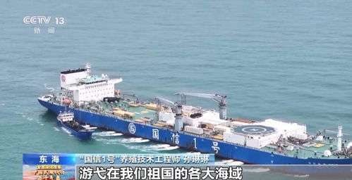 逐夢空天 深耕海洋 山東這兩艘“船”超乎你的想象——海空自貿海外倉的智慧融合
